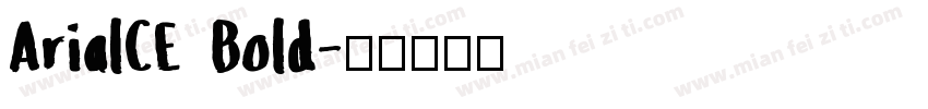 ArialCE Bold字体转换